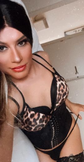 Bia 11