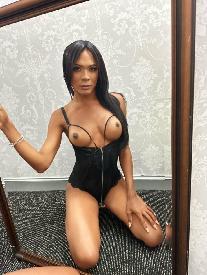 Violeta 8